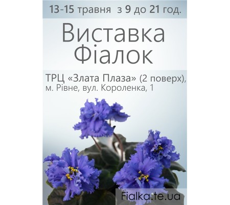 Выставка фиалок в Ровно 13-15 мая 2016